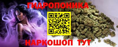 прущие грибы Пушкино