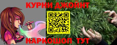 гидропоника Пугачёв