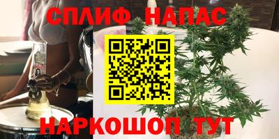 гидропоника Пугачёв