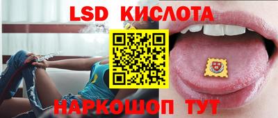 прущие грибы Пушкино
