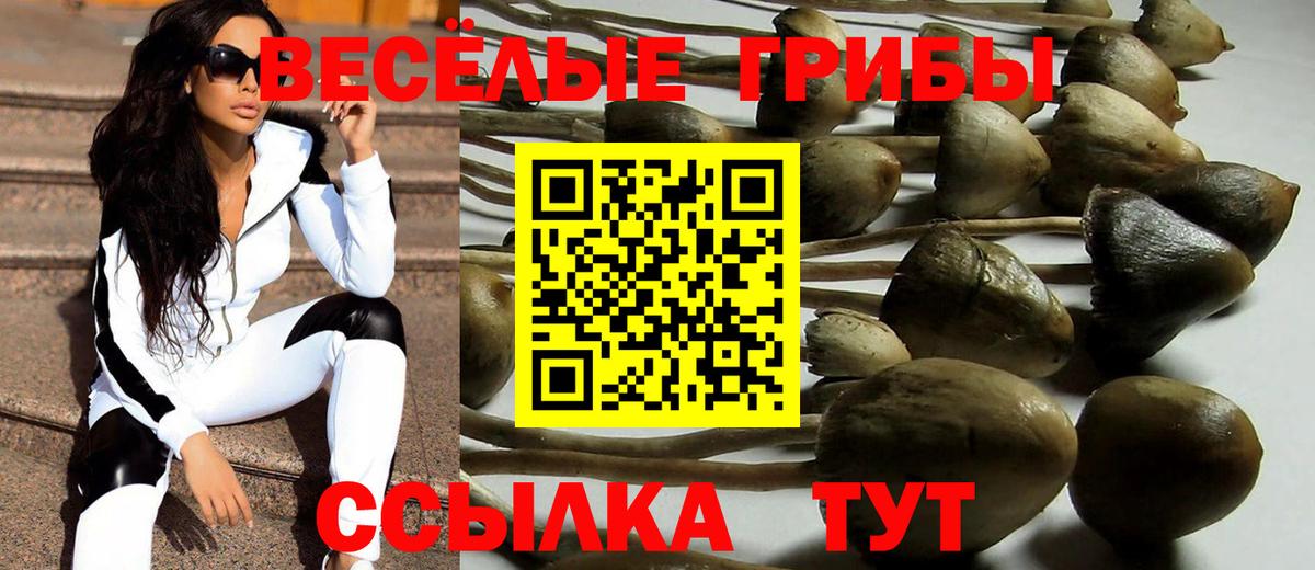 Галлюциногенные грибы Cubensis  Вход с VPN  Пушкино 