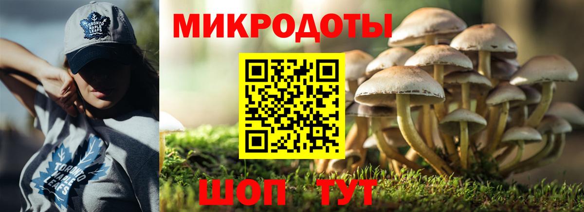 Галлюциногенные грибы мухоморы Пушкино